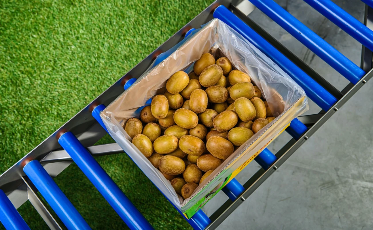 Kiwifruit packaging bag in box