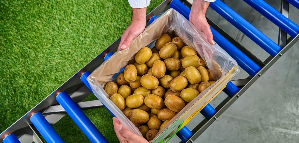 NIVERPLAST FRUITS VEGETABLES 04 HANDS web