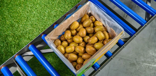 Kiwifruit packaging bag in box