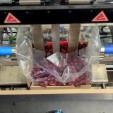 Cherry Seal bag pickup
